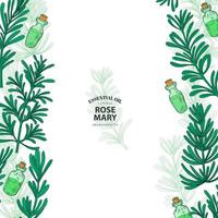 Hand Drawn Colorful Rosemary Borders on White vector