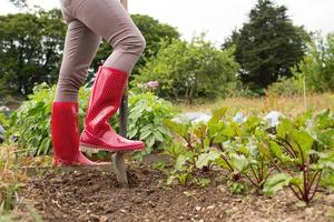Woman wearing jeans and red rubber boots in her garden
