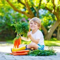 Funny little kid boy with carrots in domestic garden