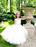 Adorable smiling little girl in princess dress photo