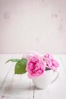 Pink tea roses on a white wooden background