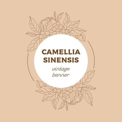 Camellia Sinensis Hand Drawn Circle Banner