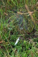colilla de cigarrillo en la hierba