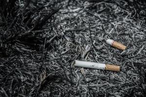 cigarrillo en cenizas quema la vida y el fondo de la naturaleza