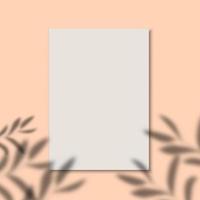 White Paper on Pastel Background with Leaf Shadows vector