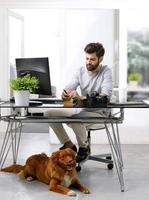 Businessman working at pet-friendly workplace