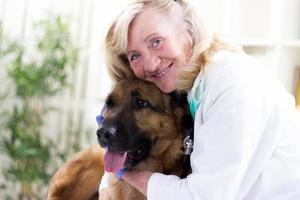 senior veterinarian hugging German Shepherd in the office photo