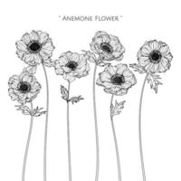 Anemone Flower and Leaf Hand Drawn Design vector