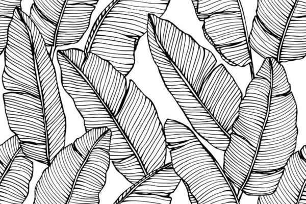  Banana Leaf Hand Drawn Seamless Pattern