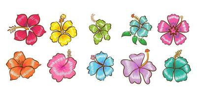 Hibiscus flower set vector