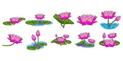 Lotus flower set vector