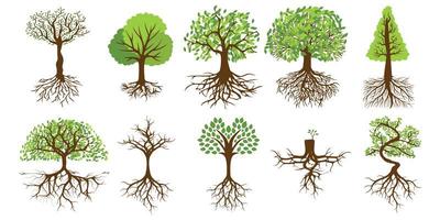 Trees with roots set vector