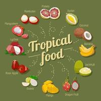 conjunto de frutas tropicales vector