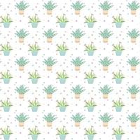 Cactus plant seamless pattern