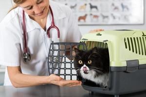 Veterinary clinic photo