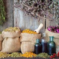 Healing herbs in hessian bags and bottles of essential oil