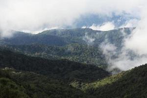 bosque de selva y montaña con niebla foto