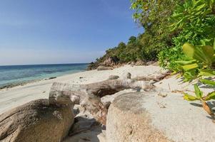 sea and the jungle on Tarutao National Marine Park photo