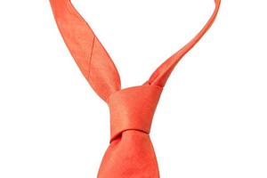 plain orange business neck tie