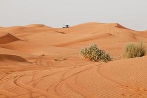 desierto arábigo