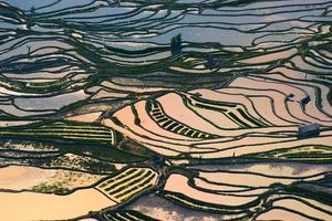 Rice Terraces photo