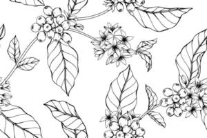 Drawn Coffee blossoms vector