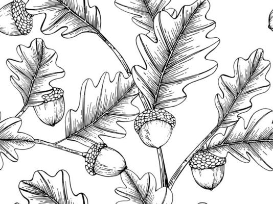 Hand Drawn Acorn Seamless Pattern