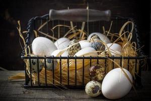 Basket of freshly laid  eggs lying on straw in the
