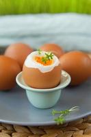 Easter boiled eggs with fresh grass