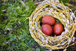 huevos de pascua en nido de sauce