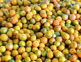 Citrus closeup  - fruit background photo