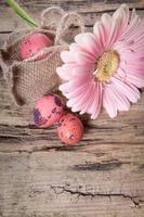 Easter eggs with gerbera daisy flowers photo