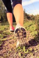 Walking or running shoes in forest, adventure and exercising photo