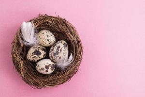 Quail egg in nest, spring and easter
