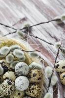 Easter background quail eggs catkins wooden table photo