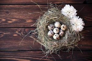 Easter quail eggs in the nest on rustic wooden background