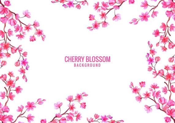 Cherry Blossom Card Background