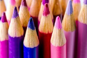 rosas y púrpuras lápices de colores