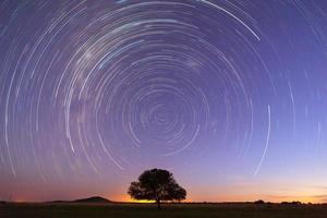 Startrails at blue hour photo