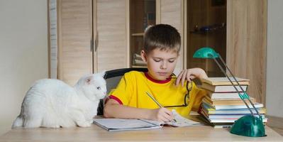 Niño feliz haciendo los deberes con gato y libros sobre la mesa.