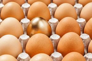 huevo de oro en una fila de los huevos marrones foto