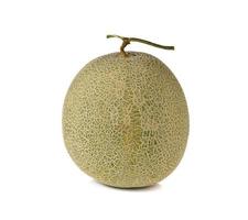 whole ripe melon with stem on white background photo