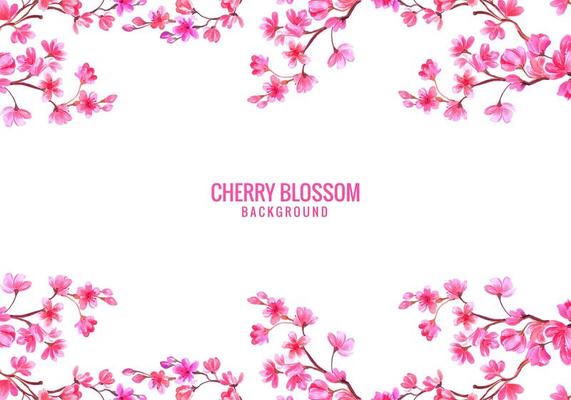 Pink Cherry Blossom Background