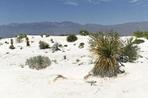 Desert photo