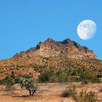 Desert Moon photo