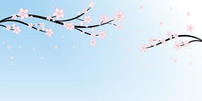 Japanese Cherry Blossoms and Branches Background  vector