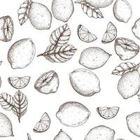 Lemon hand drawn seamless pattern vector