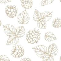 Raspberry hand drawn seamless pattern vector