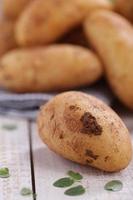 Raw potatoes photo