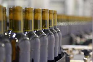 conveyor line for bottling wine in bottles